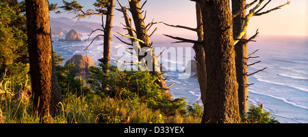 Übersehen von Cannon Beach mit Haystack Rock aus Ecola State Park, Oregon Stockfoto