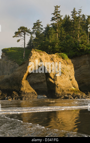 Naturale, Tunnel-Insel, Pazifik-Küste, Quinault-Indianer-Reservat, Olympische Halbinsel, Washington Stockfoto