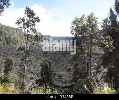 Ansicht des Kilauea Iki Kraterboden aus tropischen Regenwald in Hawaii Vulkan-Nationalpark, Hawaii Stockfoto