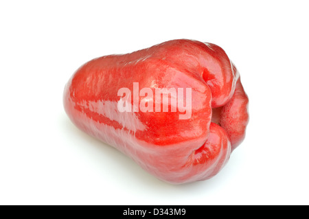 Rosenapfel mit einem weißen Hintergrund-Nahaufnahme Stockfoto