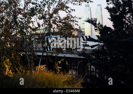 Gegründet im Jahr 1999 von den Bewohnern die High Line ist ein öffentlicher Park auf eine historische Eisenbahn: Fracht über West Side von Manhattan. Stockfoto