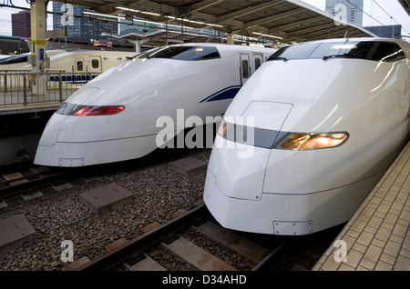 Zwei shinkansen-Hochgeschwindigkeitszüge der Tokaido-Linie 300 warten am Bahnsteig im japanischen Bahnhof Tokio Stockfoto