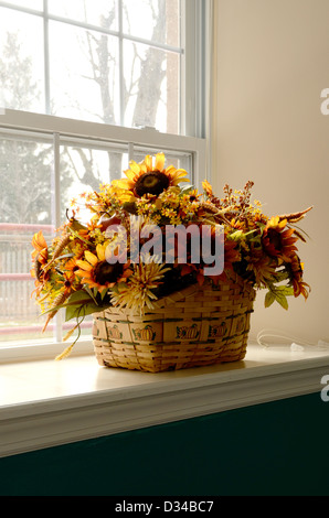 Pflanzen auf breite Fensterbank. Stockfoto