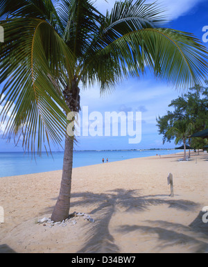 Seven Mile Beach, West Bay, Grand Cayman, Kaimaninseln, große Antillen, Caribbean Stockfoto