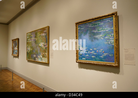 Seerosenteich, 1917-22 (links) und Seerosen, 1906 (rechts) von Claude Monet, Art Institute Chicago, Chicago, Illinois: Stockfoto