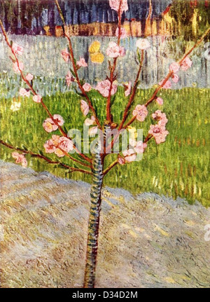 Kreuzstichmuster Van Gogh Mohnblumenfeld - Papierdiagramm, 196 Stiche, DMC Farben