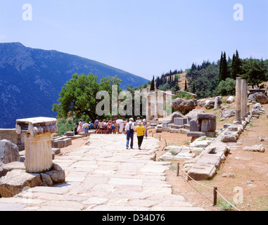 Der Heilige Weg in das Heiligtum des Apollo, Delphi, Parnass, Zentralgriechenland Region, Griechenland Stockfoto