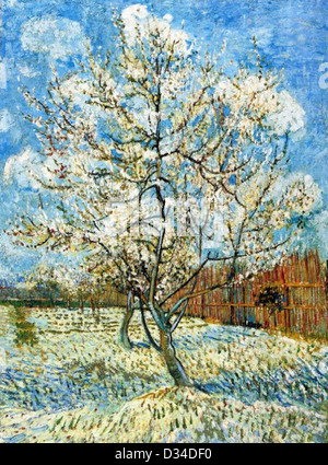 Vincent Van Gogh: Pfirsichbäume blühen. 1888 Öl auf Leinwand. Van Gogh Museum, Amsterdam, Niederlande. Post-Impressionismus. Stockfoto