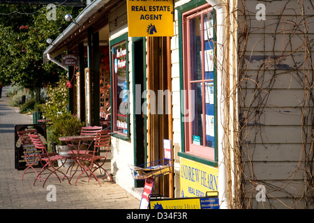 lokalen Speicher und Immobilienmakler in Berrima, Viullage im ländlichen new South Wales, Australien Stockfoto