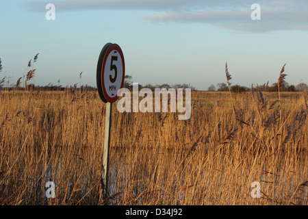 Fluß Thurne in der Nähe von Potter Heigham, Norfolk Broads, UK mit Tempolimit Schild für Boote Stockfoto