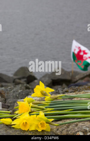 Tryweryn, Wales, UK. 9. Februar 2013.   Eine Kundgebung war statt, auf dem Tryweryn Damm um 50 Jahre zu gedenken, da eine Bombe auf der Website von Demonstranten explodiert war. Das Hochwasser von Capel Celyn, erstellen ein Reservoir um Liverpool mit Wasser zu versorgen, war ein Schlüsselmoment in der walisischen Politik. Auf dem Stausee zum Gedenken an die Menschen mussten aus ihren Häusern ermöglichen den Bau des Stausees wurden Kränze und Narzissen übersät. Bildnachweis: atgof.co / Alamy Live News Stockfoto