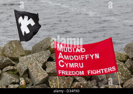 Tryweryn, Wales, UK. 9. Februar 2013.   Eine Kundgebung war statt, auf dem Tryweryn Damm um 50 Jahre zu gedenken, da eine Bombe auf der Website von Demonstranten explodiert war. Das Hochwasser von Capel Celyn, erstellen ein Reservoir um Liverpool mit Wasser zu versorgen, war ein Schlüsselmoment in der walisischen Politik. Auf dem Stausee zum Gedenken an die Menschen mussten aus ihren Häusern ermöglichen den Bau des Stausees wurden Kränze und Narzissen übersät. Bildnachweis: atgof.co / Alamy Live News Stockfoto