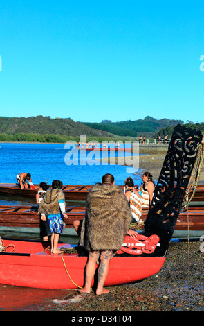 Maori Waka Besatzung vorbereiten Waitangi Day Feierlichkeiten in Waitangi Stockfoto