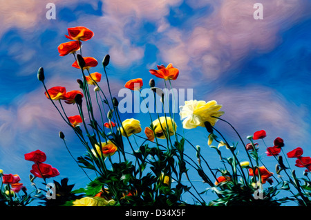 Schöne Low-Winkel Gemälde von roten und gelben tropischen Blumen vor einem weichen blauen Himmel mit rosa Wolken. Stockfoto