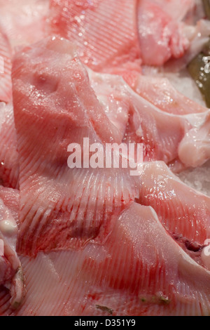 Rohe Razza Fisch Stingray zu verkaufen auf einem Marktstand in Venedig Italien Stockfoto