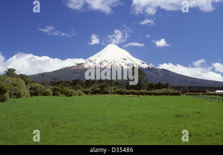 Neuseeland, Nordinsel, schneebedeckte Mount Taranaki (Mount Egmont) Vulkan. Stockfoto