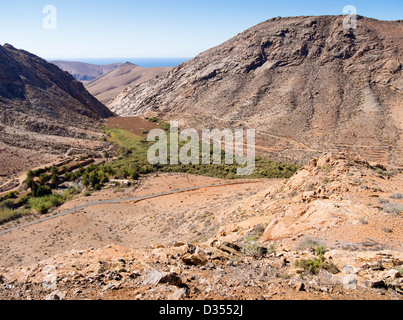 Eine Oase im Parque Rural de Betancuria, Fuerteventura. Stockfoto