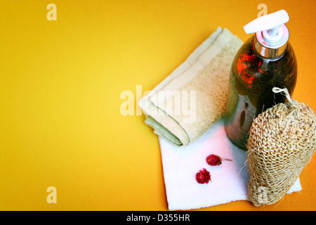 Sammlung von Dusche, Bad, Wellness und Schönheit Produkte einsatzbereit Stockfoto