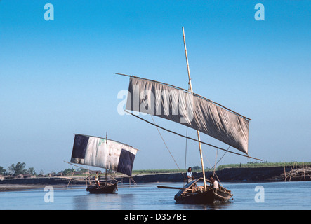 Segelboote mit Holzstämmen von der nördlichen Grenze zu Indien und Burma bis zur Hauptstadt Dhaka. Ganges River, Bangladesch Stockfoto