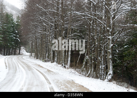 Straße mit Schnee auf den Apennin in Emilia Predappio Stockfoto