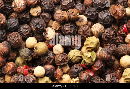 Makro trockenen heißen bunten Pfeffer Stockfoto