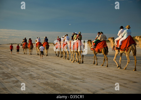 Ein Kamelritt am Cable Beach--bei Sonnenaufgang oder Sonnenuntergang--ist eine Besucher-Tradition in Broome, Western Australia. Stockfoto