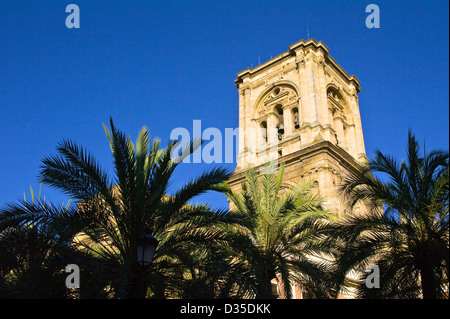 Der Turm der Kathedrale der Menschwerdung in Granada, Andalusien, Spanien Stockfoto