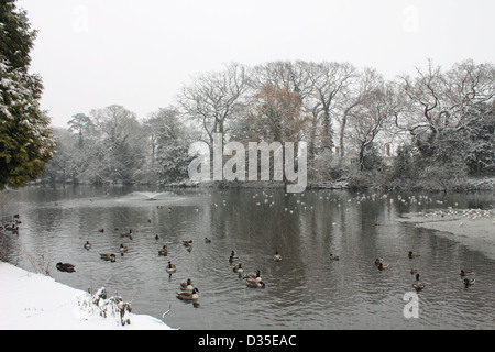 Schnee fällt in Ewell Court Park, Surrey England UK. Stockfoto