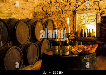 Besucher sind eingeladen, probieren Sie lokale Weine in einem rustikalen französischen Weinkeller im Weingut Chateau de Pierreclos in Süd-Burgund in der Nähe von Macon, Frankreich. Stockfoto