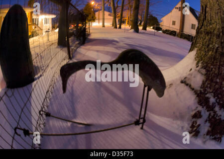 9. Februar 2013 - Merrick, New York, USA - am Abend nach Blizzard Nemo Long Island South Shore Gemeinschaften hits sind nach Hause Hinterhöfe im Schnee bedeckt. Eine Kran Vogel Rasen Statue war angebunden an Zaun, in den starken Winden schützen. (180 Grad fisheye-Objektiv-Ansicht) Stockfoto