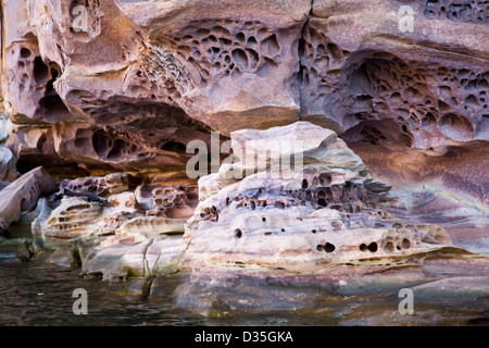 Sandstein-Landschaft entlang des King George River, Kimberley Küste, West-Australien Stockfoto