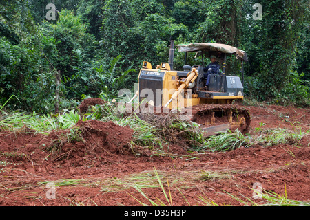 Kongo, 27. September 2012: ein chinesischer Planierraupe Fahrer vom Unternehmen Sinohydro schneidet einen Pfad durch den Wald für eine große neue asphaltierte Straße. Stockfoto