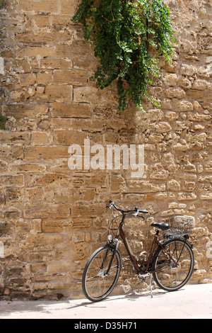 Fahrrad unter Grünpflanze alte Wand gelehnt. Stockfoto