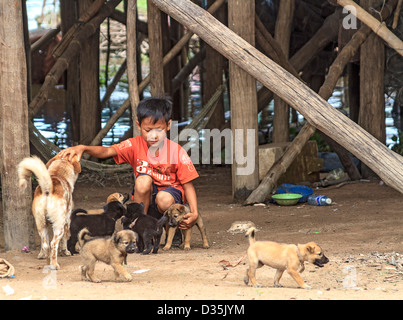 Junge mit seinem Hund und Welpen in Kompong Pluk (Phluk), eine Gruppe von drei Stelzen-Haus-Dörfer in der Nähe von Siem Reap, Kambodscha Stockfoto