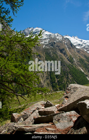 Alpenlandschaft im Gran Paradiso Nationalpark, zwischen Piemont und Aosta-Tal, Graian Alpen, Italien Stockfoto