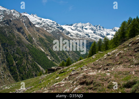 Alpine Landschaft mit alten Steinhütte im Gran Paradiso Nationalpark, zwischen Piemont und Aosta-Tal, Graian Alpen, Italien Stockfoto