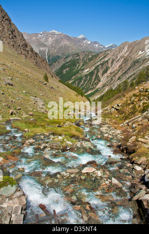 Bach fließt in alpinen Rasen, Gran Paradiso Nationalpark, zwischen Piemont und Aosta-Tal, Italienische Alpen, Italien Stockfoto