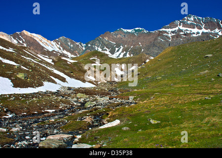 Kleine hölzerne Brücke über einen Bach in der Nähe der Vittorio Sella-Hütte in Valnontey, Gran Paradiso Nationalpark, Italienische Alpen, Italien Stockfoto