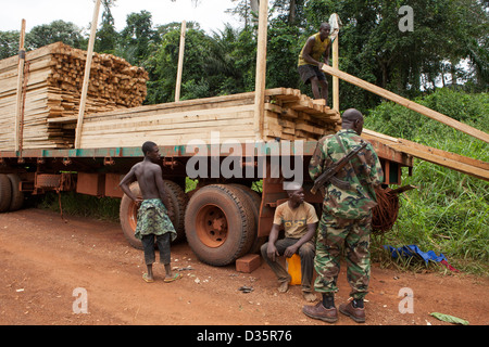 Kongo, 27. September 2012: eine Patrouille der Eco-Guards untersuchen Abholzung von hochwertigen Holz aus dem Wald. Stockfoto