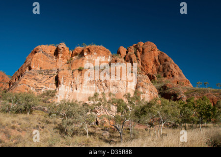 Reisen die Bungle Bungle Nationalpark in Western Australia, Australien Stockfoto