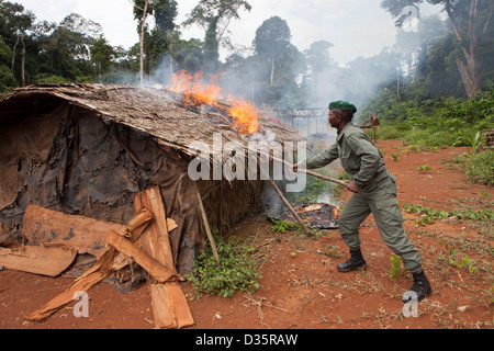 Kongo, 27. September 2012: Ecoguards eine illegale Wilderer Lager niederbrennen.   Kein Tier jagen ist in diesem Bereich erlaubt. Stockfoto