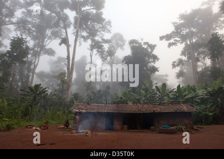 Kongo, 29. September 2012: am frühen Morgen Nebel über den Wald als ein Bata Zwerg Familie kochen ihr Frühstück. Stockfoto