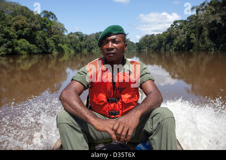 Kongo, 29. September 2012: eine Bi-nationale Gruppe von Ecoguards aus Kamerun und Gabun patrouillieren die Messok Dja-Nationalpark, auf der Suche nach Wilderern. Stockfoto