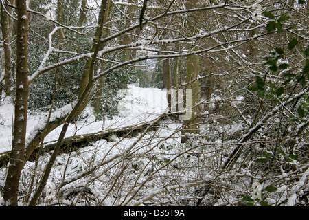 Malerische Aussicht auf gewundenen Pfad im verschneiten Winterwald. Stockfoto