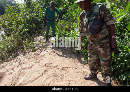 Kongo, 29. September 2012: eine Bi-nationale Gruppe von Ecoguards aus Kamerun und Gabun patrouillieren die Messok Dja-Nationalpark, auf der Suche nach Wilderern. Stockfoto