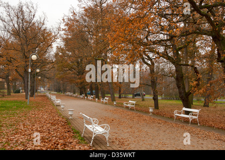 Herbst Park mit weißen Bänken im berühmten Kurort Františkovy Lázně, Tschechische Republik Stockfoto