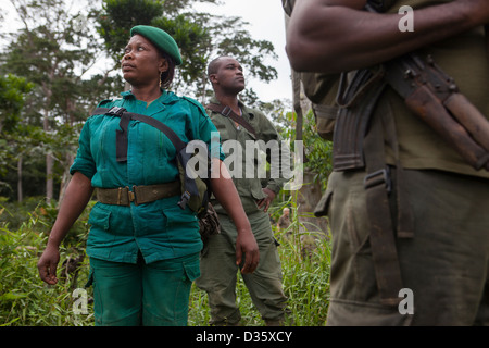 Kongo, 29. September 2012: Sidone Aseme, eine weibliche kamerunischen Dozententraining ist in einer Bi-nationalen Gruppe von Ecoguards aus Kamerun und Gabun Patrouille auf der Suche nach Beweisen für Wildtiere Wilderei. Stockfoto