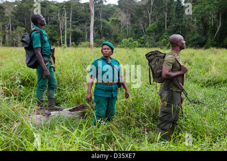 Kongo, 29. September 2012: Sidone Aseme, eine weibliche kamerunischen Dozententraining ist in einer Bi-nationalen Gruppe von Ecoguards aus Kamerun und Gabun Patrouille auf der Suche nach Beweisen für Wildtiere Wilderei. Stockfoto