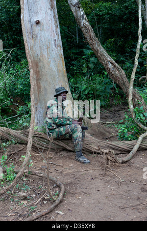 Kongo, 29. September 2012: eine Gruppe von Ecoguards aus Kamerun und Gabun patrouillieren die Messok Dja-Nationalpark, auf der Suche nach Beweisen für Wildtiere Wilderei. Stockfoto