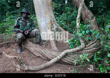 Kongo, 29. September 2012: eine Gruppe von Ecoguards aus Kamerun und Gabun patrouillieren die Messok Dja-Nationalpark, auf der Suche nach Beweisen für Wildtiere Wilderei. Stockfoto